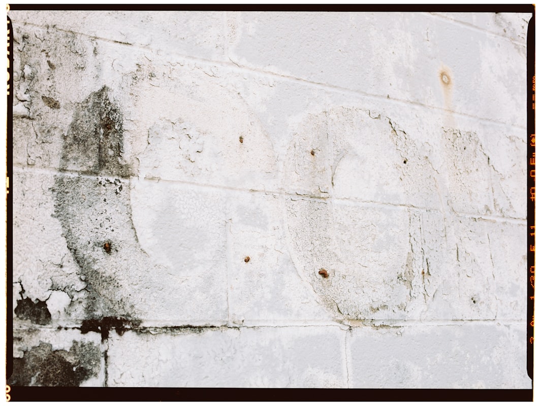 Water Extraction service in Rowlett, TX